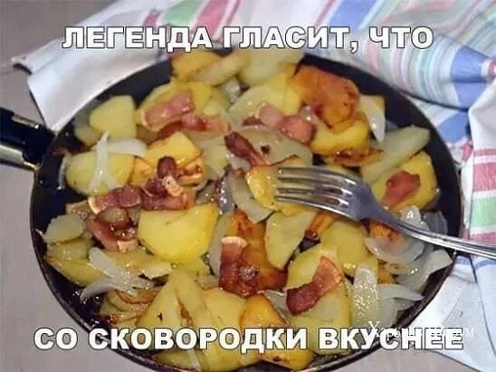 39970fe12c7224a2.webp