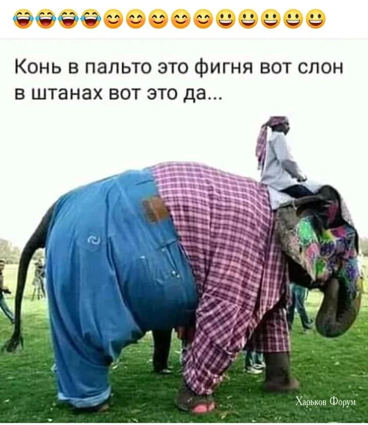 39a60b28efd766e98.webp