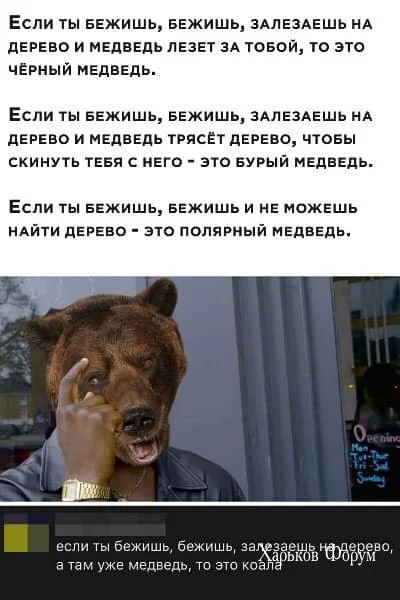 39c1d9271e3e8169ab1c8.webp