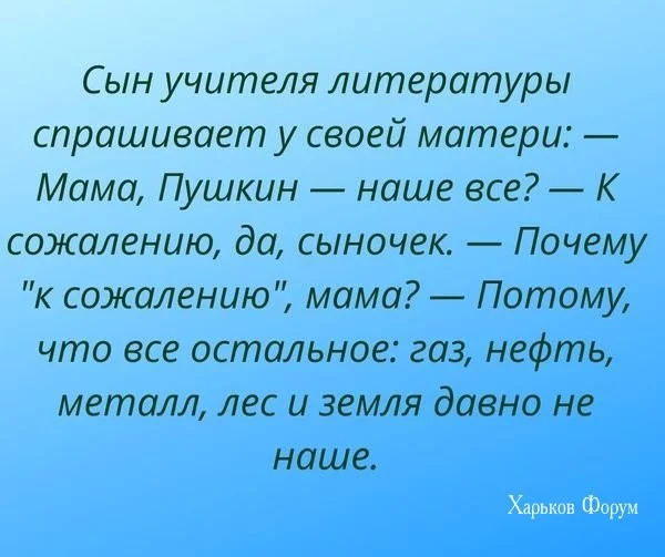 39c52deba46e42fe.webp