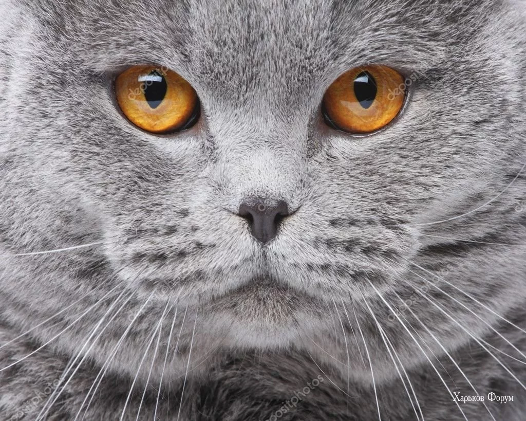 39c7253a56f55693.webp