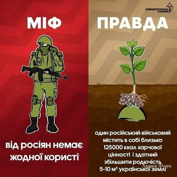 39cda92ef7882999d9154b.webp