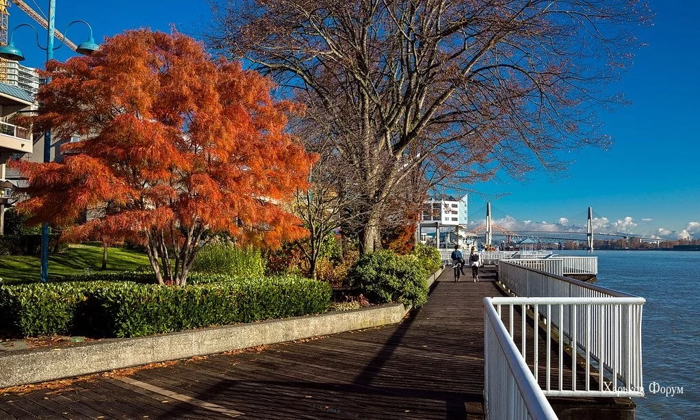 39cdfe4a35426bc0.webp