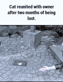 39e0fc2e425759265034b9.gif