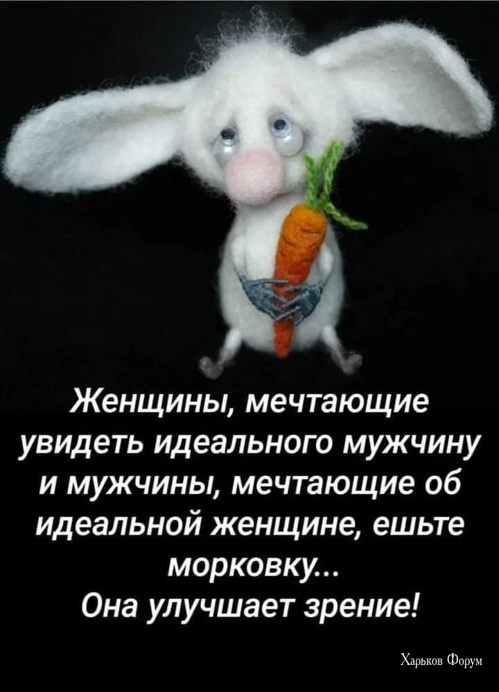 39f6f4e2a78c16d1647eee9.webp