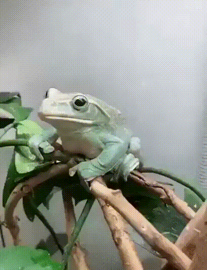 39fa8bcaf4c6f624.gif