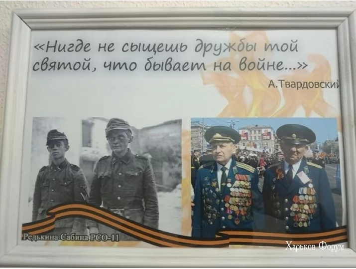 39fd1a446f450314e993.webp
