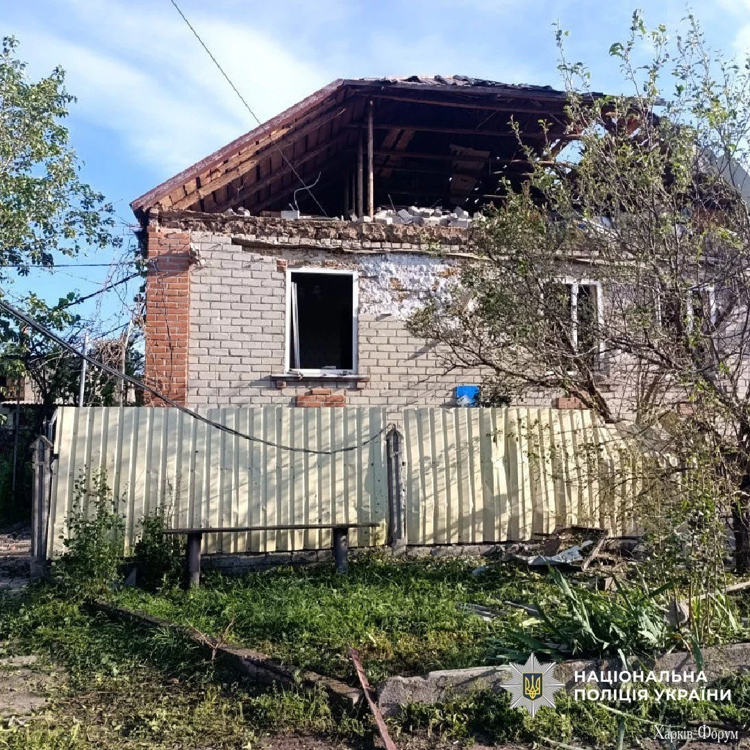 3_683aa474a11e9.webp