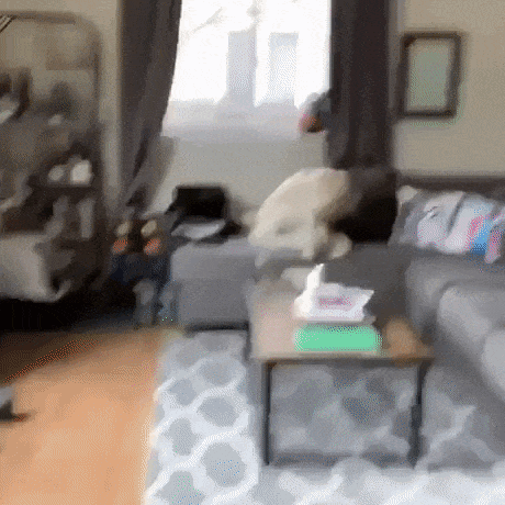 3a174eab0ea43c4ac778.gif