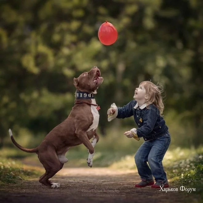 3a5c238fa89fdd8978bc4e.webp