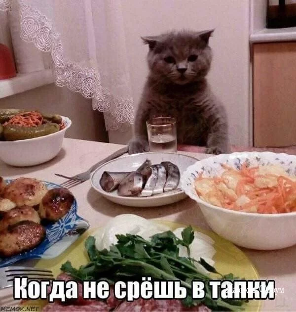 3a72f187aba9ad87dbf212.webp