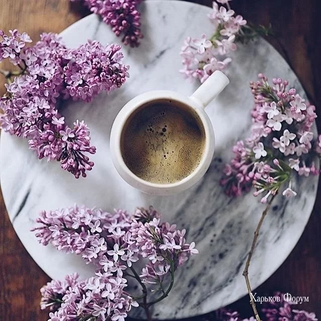 3a91d347b5719ac3434aa21.webp