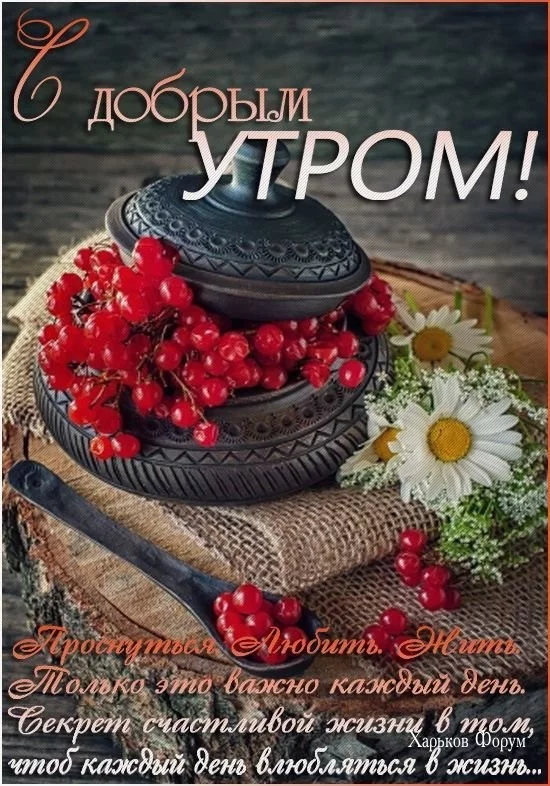 3a9f57a35e221593d31.webp