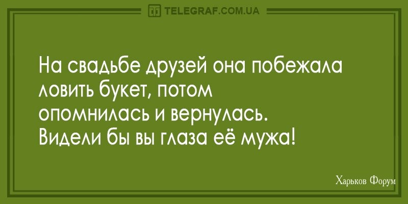 3aa344dba40850fc74d1.jpg
