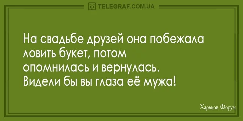 3aa344dba40850fc74d1.webp
