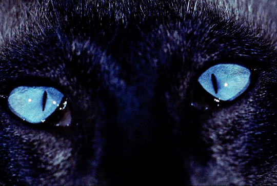 3aa871e5c24f01f6fa6d30c40be852545f3b38f0.gif