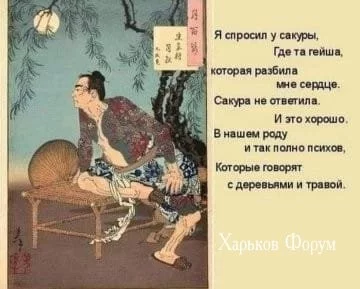 3aaa7820181bc2c82d8d2b.webp