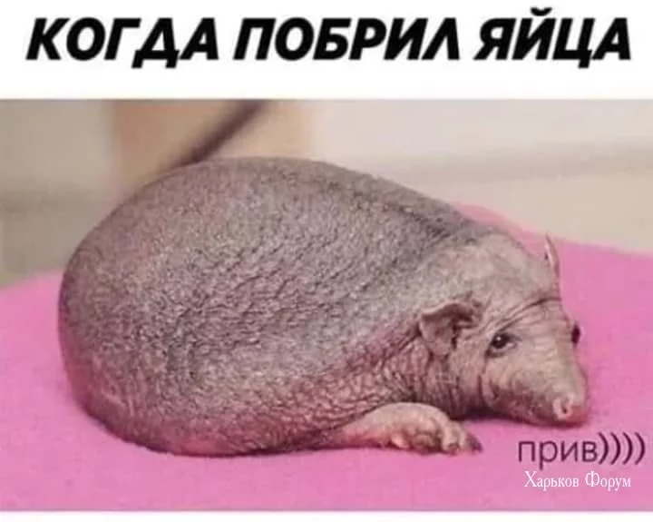 3aada567e45adf831eef193.webp