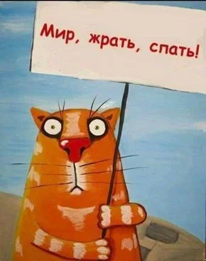 3ab70be712d01a181b96a3feffe6292c.webp