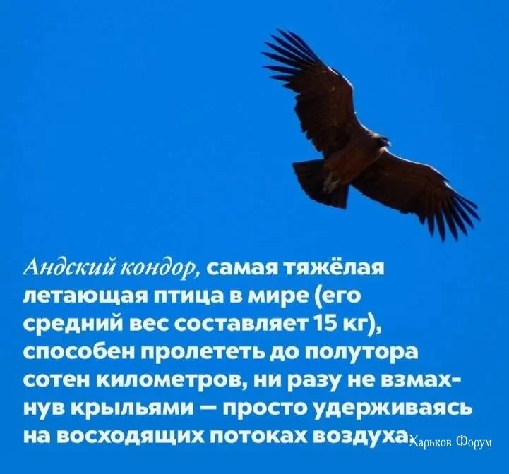 3acae7a44c65322386.webp