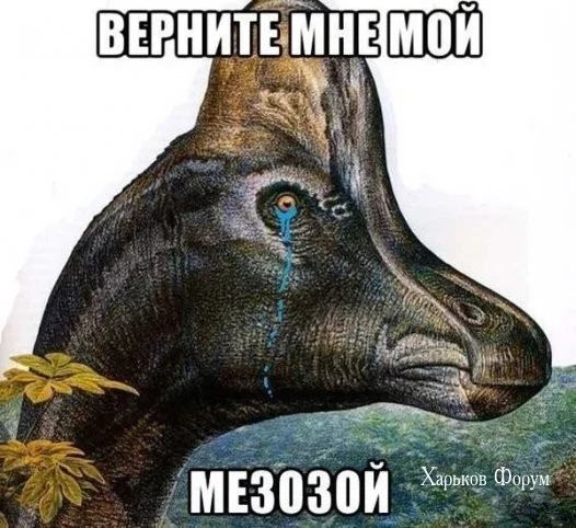 3ace11f303a44a6ec6.webp