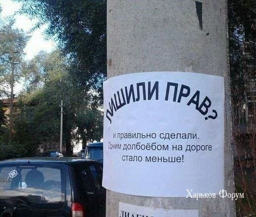 3ad02a27d3be5b245723.webp