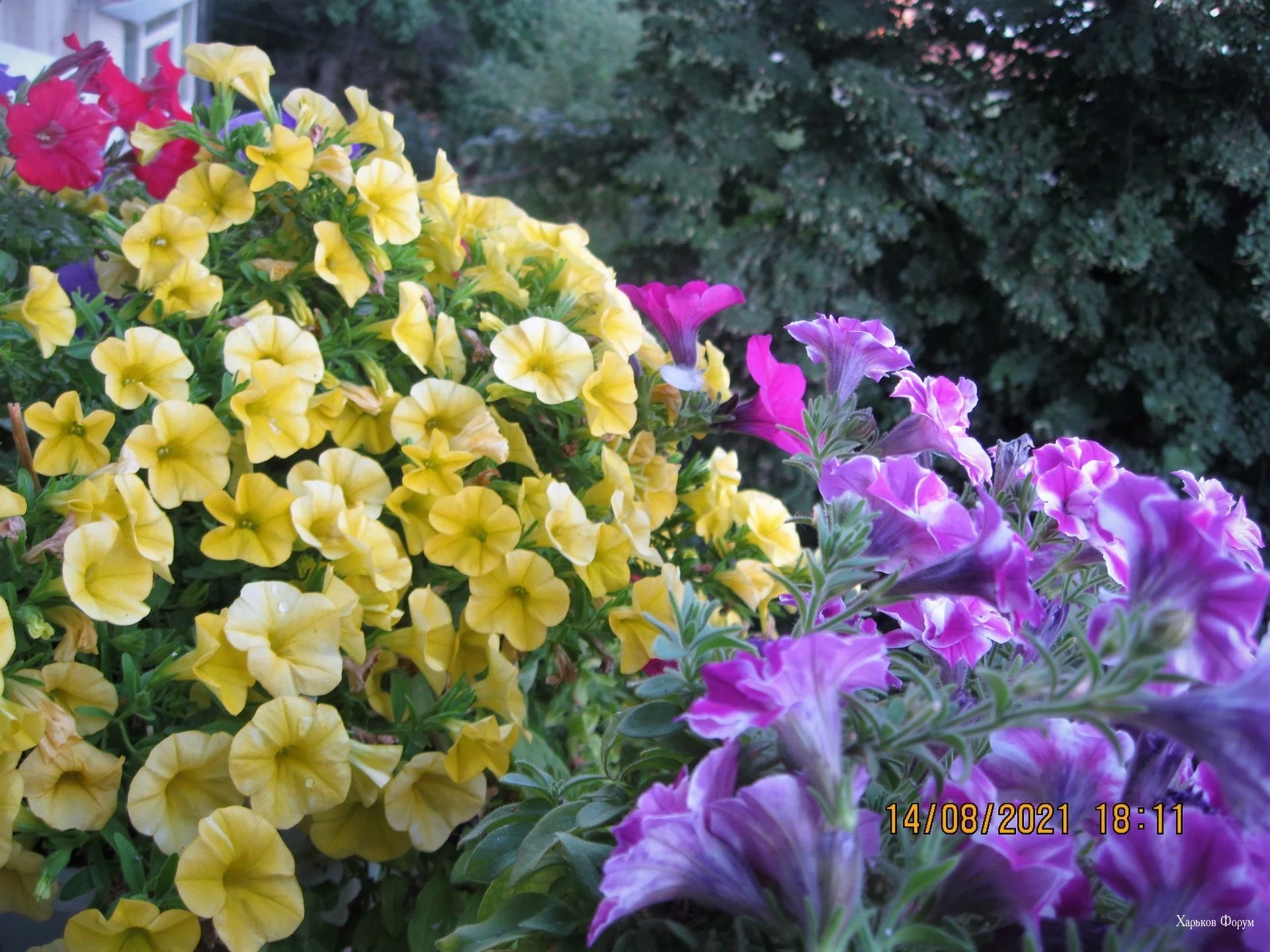 3ad764eb3c705205.webp
