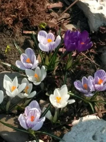 3adcej.webp
