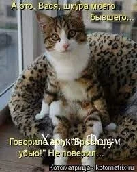 3adeffb667735baef.webp