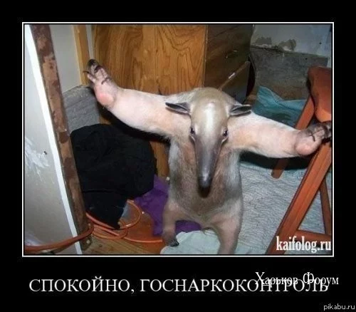 3ae269ea8a0be100a.webp