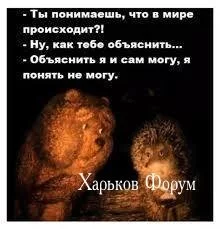 3ae3c3f5f3615c49f561.webp