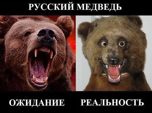 3afjbh.webp