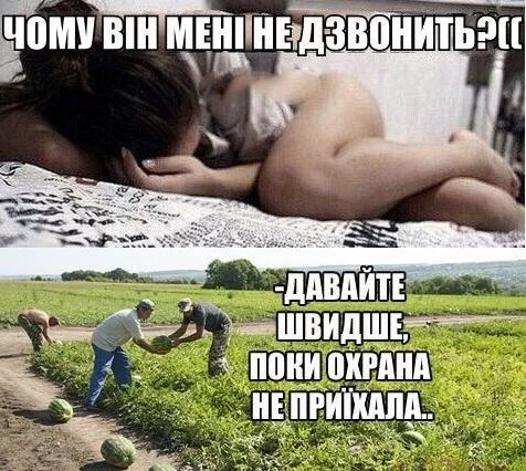 3ajcej.webp