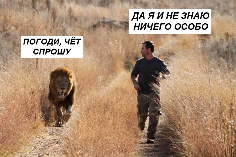 3ajehc.jpg