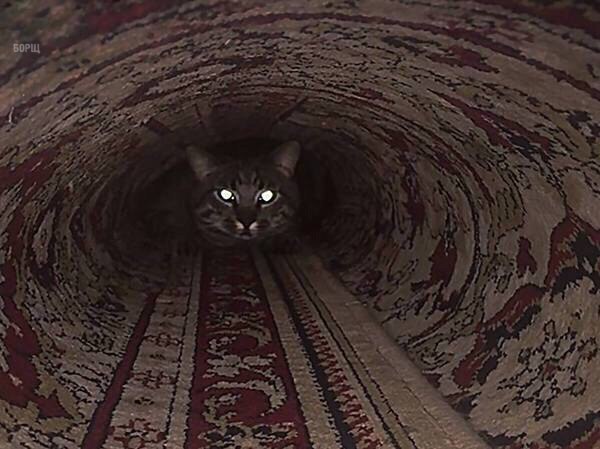 3AspLkLJq0U.jpg