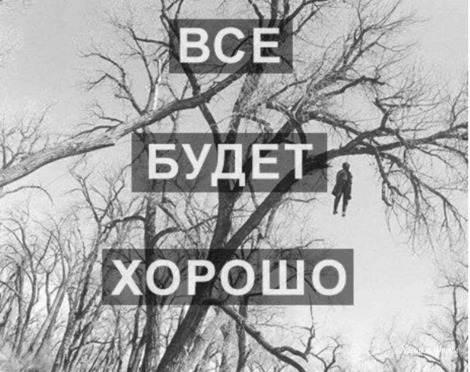 3b048a5de4b1dcc39892.webp