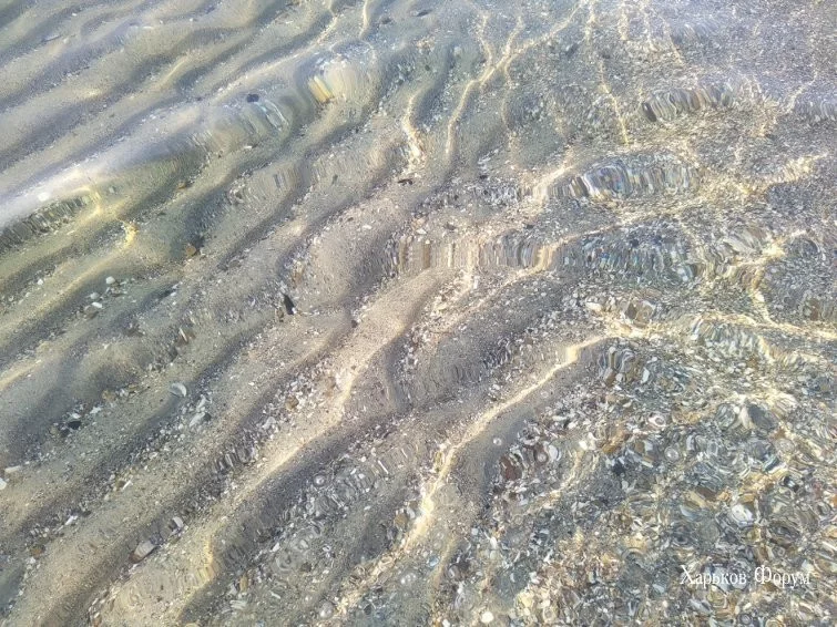 3b1033e7c2c40520fe8.webp