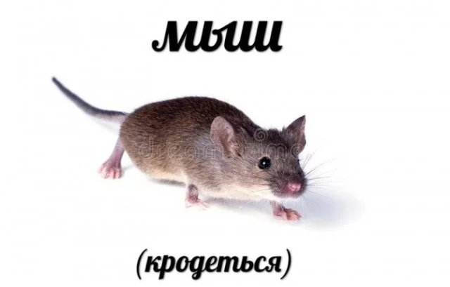 3b2f7b357294bfe0.webp