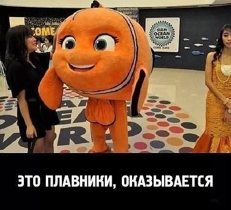 3b3226f4d88663b14e5854292ef6906c.jpg