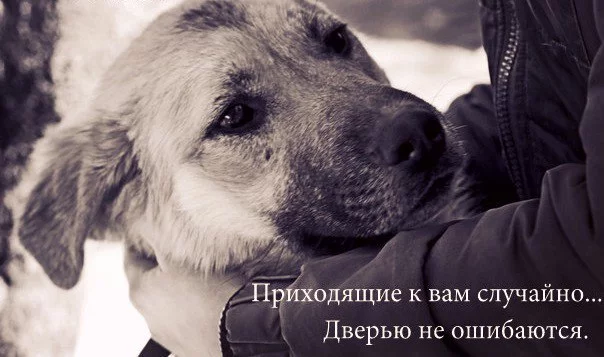 3b3b2e37432f49c7984743d1ef7c220b.webp