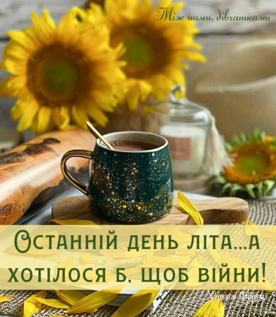 3b3e47345d9d101be844fe.png