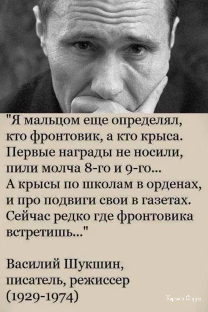 3b40ac5f80f3e72a2.webp