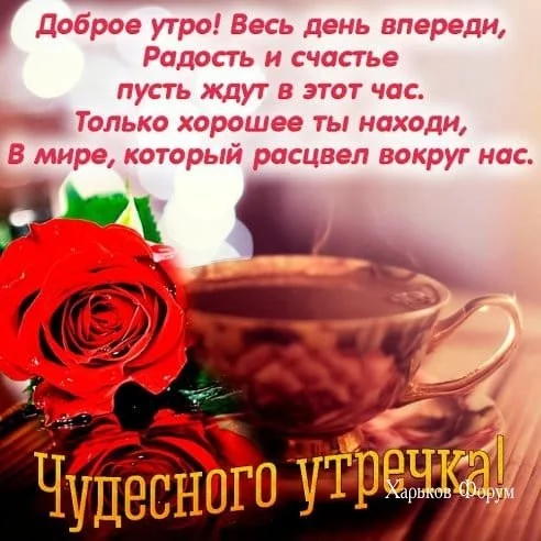 3b68444c263901248f04.webp