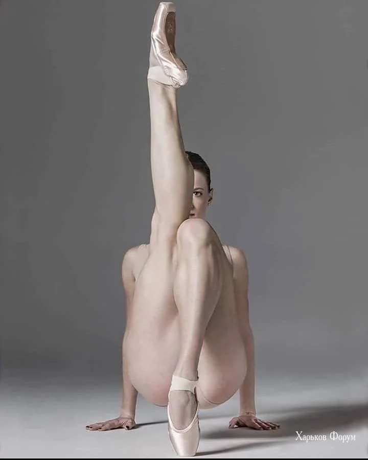 3b88f8f2279881eaeaa921.webp