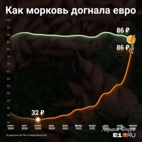 3b891ac00c8e4cf17.webp