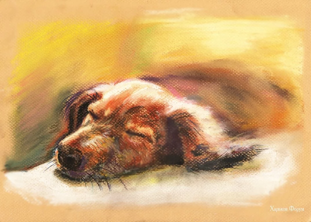 3b8b667cecba430014.webp 3b8b667cecba430014.webp