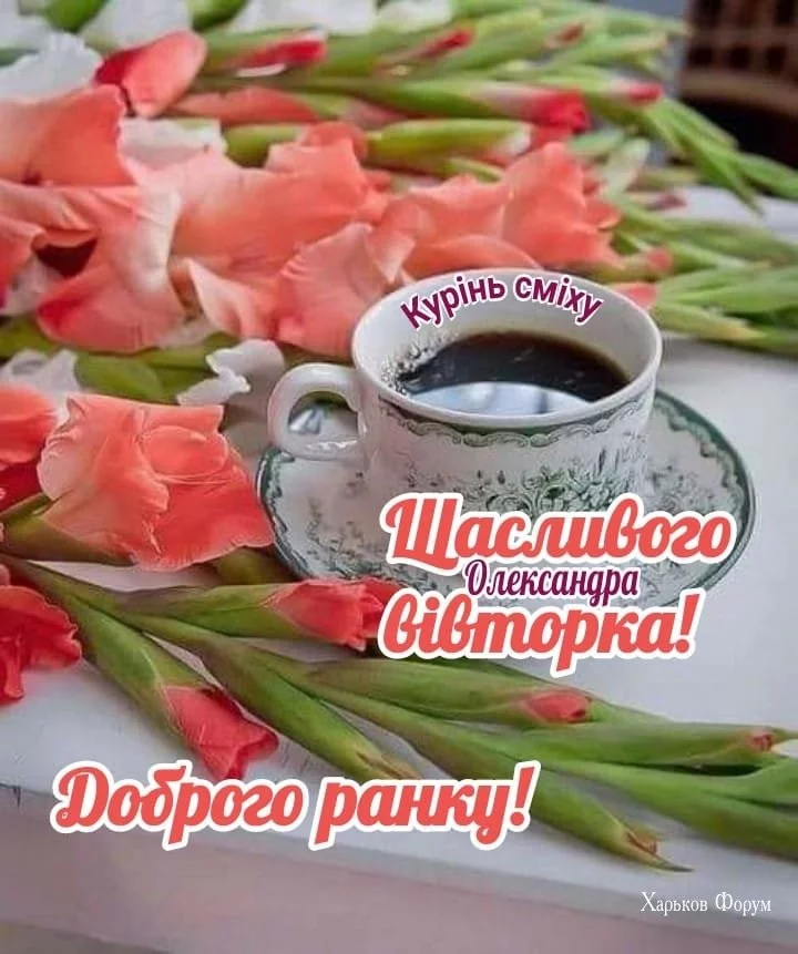 3b8e5bc3ec4800f114.webp