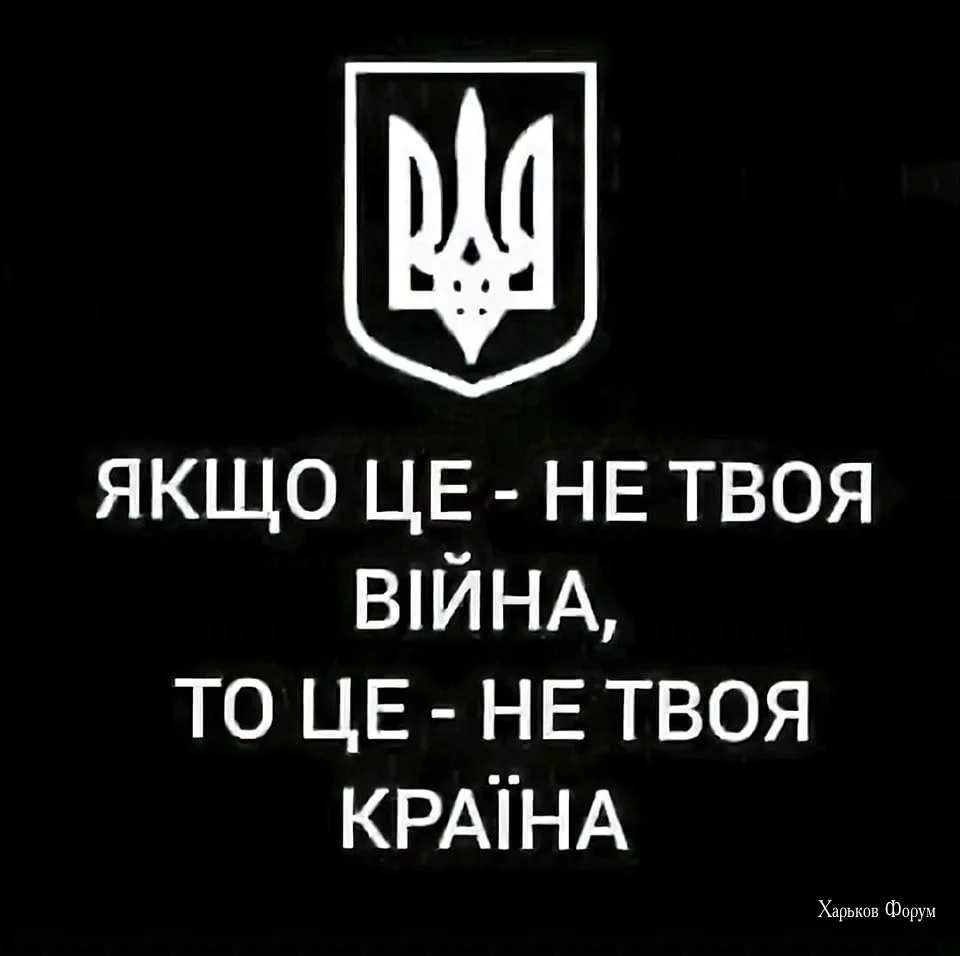 3b96b346e3d34d9f0868.webp