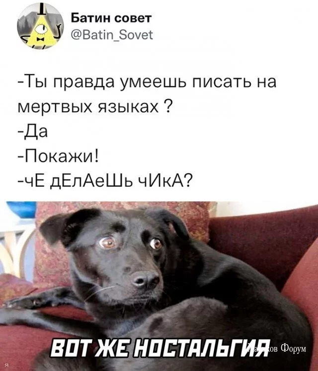 3b9794d00a3e495c2949198c.webp