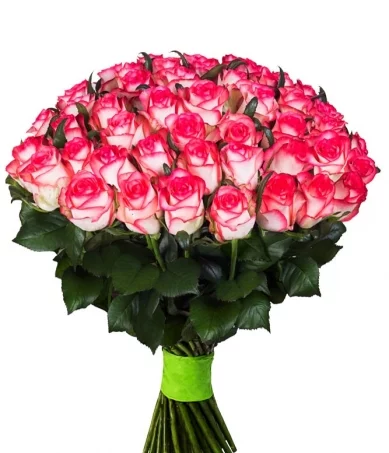 3baffg.webp